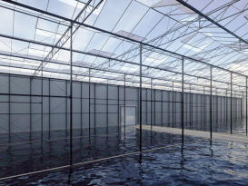 Green House